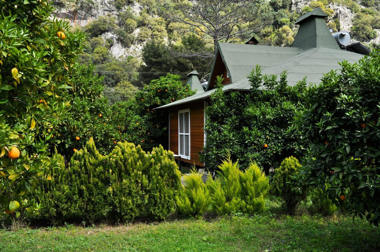 Villa Arcadia *