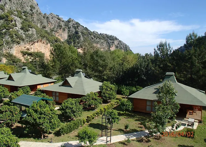 Arcadia Villas